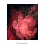 instant-pdf-P17373549_22